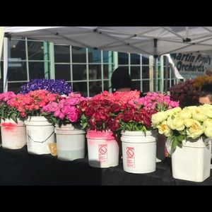 Meet your Posher, Loyce